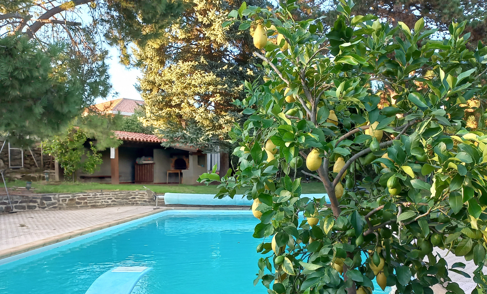 piscine du gîte du canigou et cuisine d'été